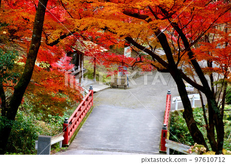 Autumn leaves of Negoro Temple (Iwade City, Wakayama Prefecture) 97610712