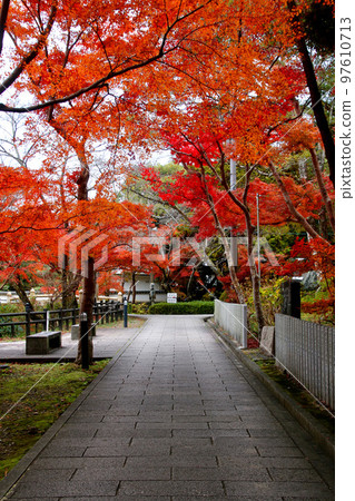 根吾呂寺的紅葉（和歌山縣岩出市） 97610713