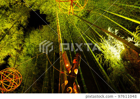Marumori Bamboo Light Corridor 97611048