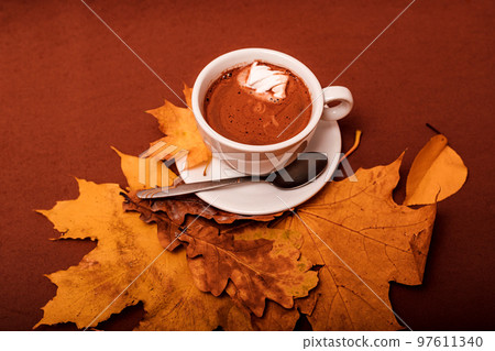 Autumn composition of a cup of cocoa with marshmallow Autumn composition of a cup of cocoa with marshmallow 97611340