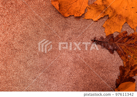Yellow autumn leaves on a brown background autumn composition Yellow autumn leaves on a brown background autumn composition 97611342