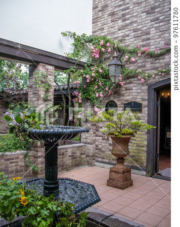 盛開在輕井澤美麗花園中的玫瑰 盛開在輕井澤美麗花園中的玫瑰 97611780