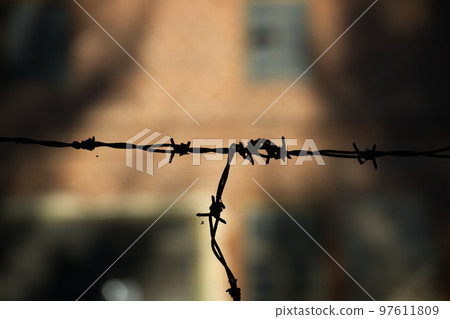 Silhouette of coils of old rusty barbed wire 97611809