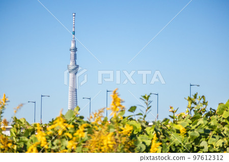 從荒川河床看到的“東京”晴空塔,秋天 從荒川河床看到的“東京”晴空塔,秋天 97612312