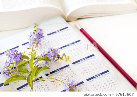 dictionary book, notebook for study of student arrangement flat lay style dictionary book, notebook for study of student arrangement flat lay style 97613607