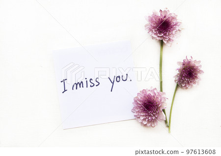 i miss you message card handwriting with pink flowers arrangement flat lay postcard style i miss you message card handwriting with pink flowers arrangement flat lay postcard style 97613608