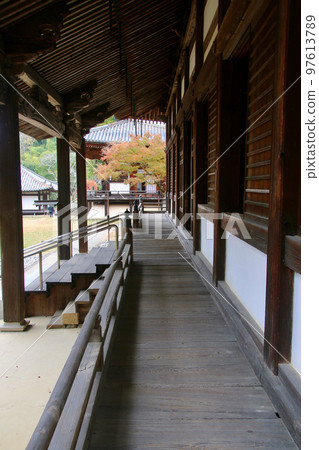 Autumn leaves of Daidenpo-do Temple, Negoro-ji Temple (Iwade City, Wakayama Prefecture) Autumn leaves of Daidenpo-do Temple, Negoro-ji Temple (Iwade City, Wakayama Prefecture) 97613789