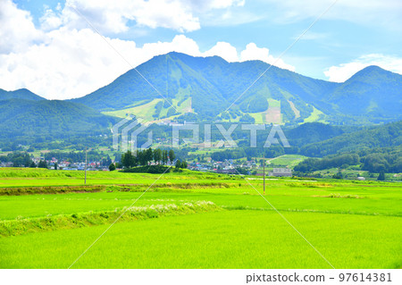 Koshayama / Looking towards the Kijimadaira ski area (Kijimadaira Village, Nagano Prefecture) [August 2022] 97614381
