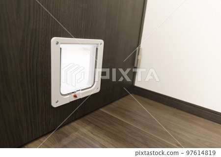 帶貓門的門 97614819