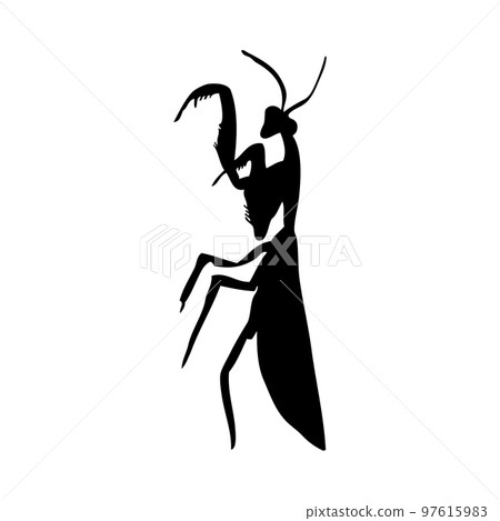 Mantis Silhouette 97615983