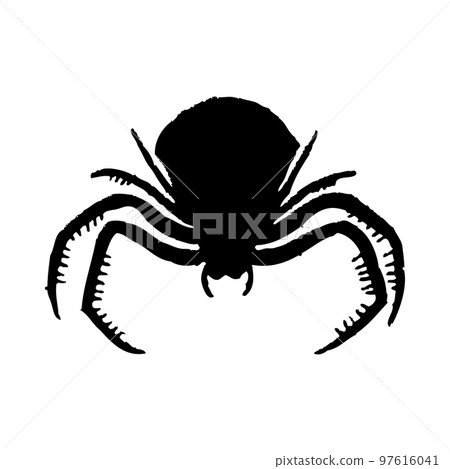 Spider Silhouette Spider Silhouette 97616041
