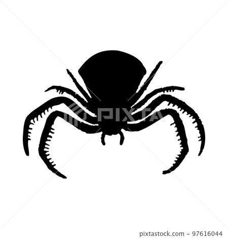 Spider Silhouette Spider Silhouette 97616044