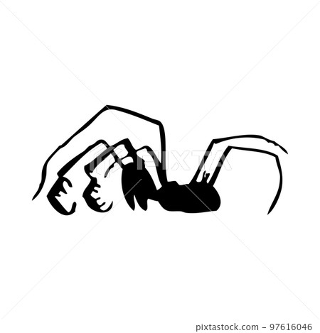 Spider Silhouette Spider Silhouette 97616046