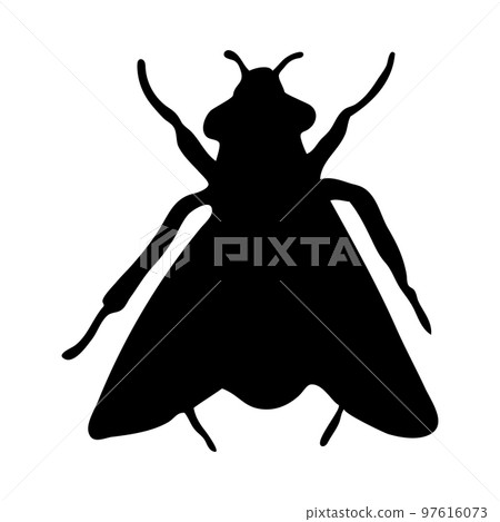 Fly Silhouette 97616073