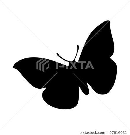 Butterfly Silhouette Butterfly Silhouette 97616081