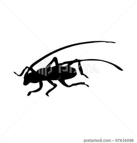 Beetle Silhouette 97616096