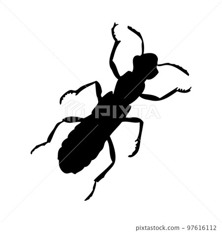 Beetle Silhouette Beetle Silhouette 97616112
