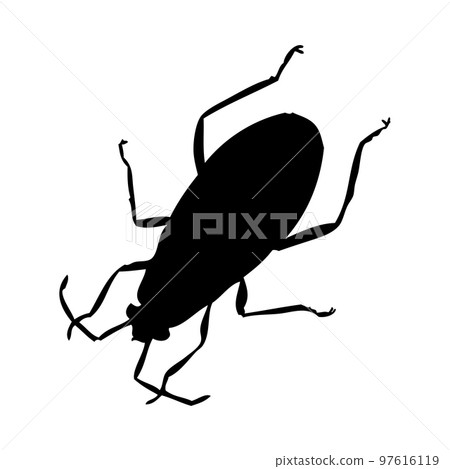 Beetle Silhouette Beetle Silhouette 97616119
