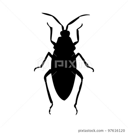 Beetle Silhouette Beetle Silhouette 97616120