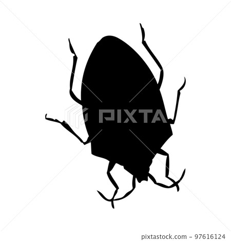 Bug Silhouette 97616124