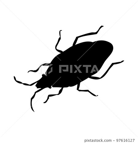 Bug Silhouette 97616127