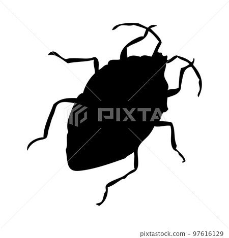 Bug Silhouette Bug Silhouette 97616129