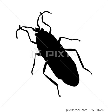 Beetle Silhouette Beetle Silhouette 97616268