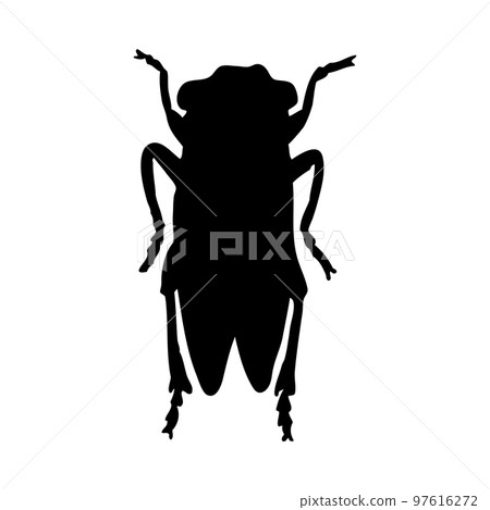 Grasshopper Silhouette Grasshopper Silhouette 97616272