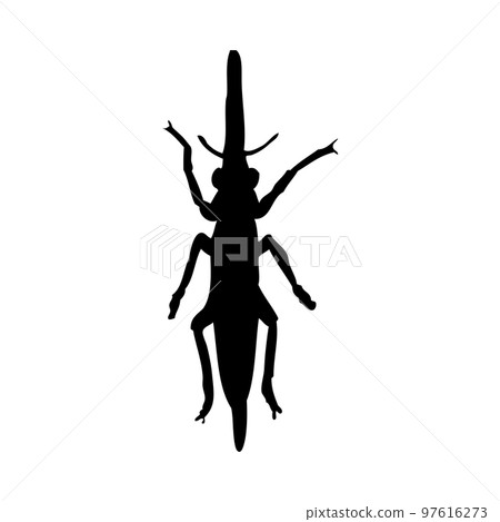 Grasshopper Silhouette Grasshopper Silhouette 97616273