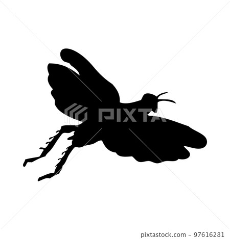 Grasshopper Silhouette 97616281