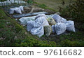 collection of fallen leaves 97616682