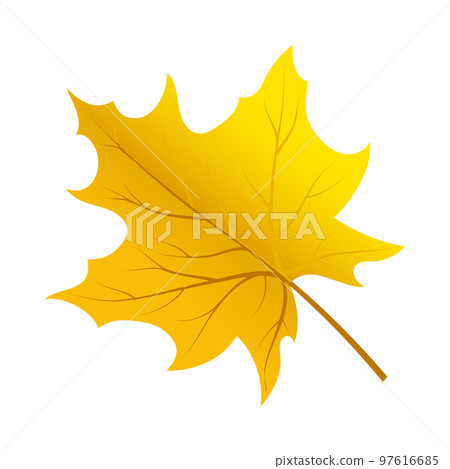 Autumn Element Autumn Element 97616685