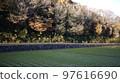 Autumn leaves 97616690