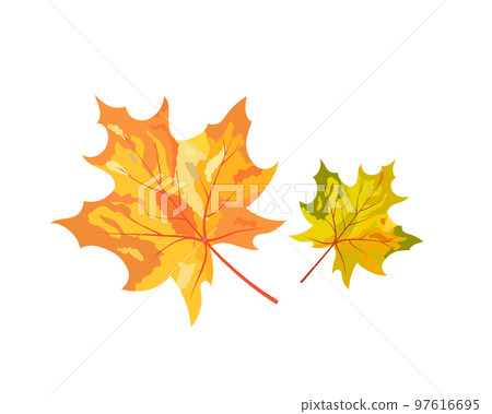 Autumn Element Autumn Element 97616695
