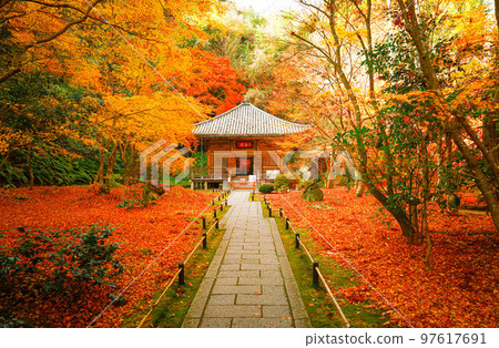 松島悅津院 松島悅津院 97617691