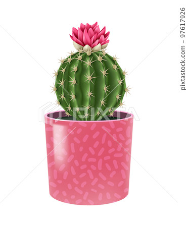 Cute Cactus Pot Composition 97617926