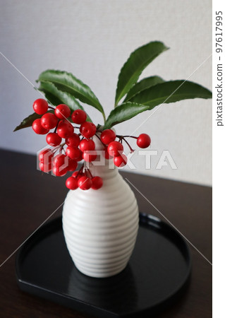 在入口處裝飾花園 manryo 在入口處裝飾花園 manryo 97617995