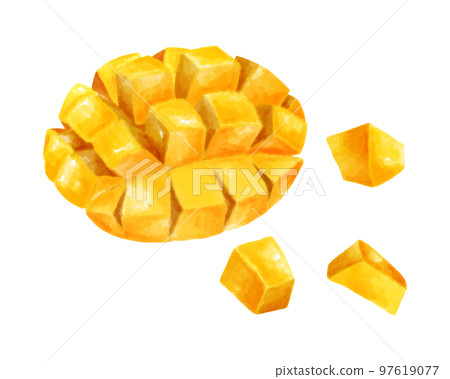 切芒果的水彩風格插圖 切芒果的水彩風格插圖 97619077