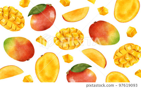 各種芒果熱帶材料水彩風格插畫 97619093