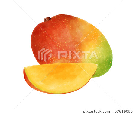 芒果果實和切芒果的水彩風格插圖 97619096