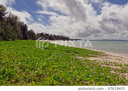 塞班島 海灘 沙灘 97619403
