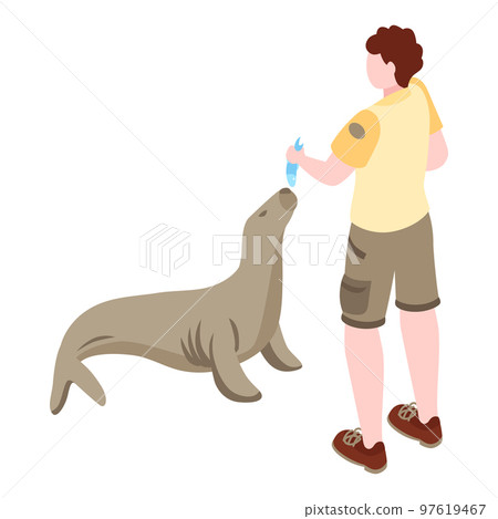 Feeding Walrus Zoo Composition 97619467