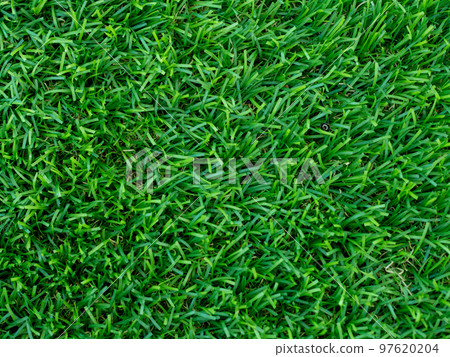 artificial green grass using for background or texture 97620204