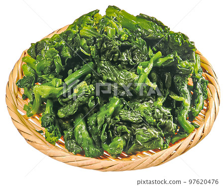 什錦油菜花 97620476