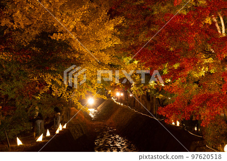 河口湖紅葉迴廊燈飾 河口湖紅葉迴廊燈飾 97620518