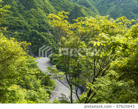 以夢幻吊橋聞名的靜岡縣川根本町墨又峽 97620843