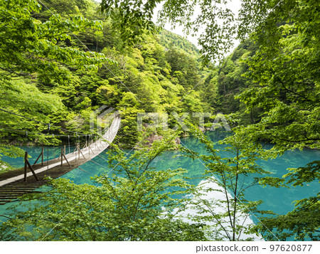 以夢幻吊橋聞名的靜岡縣川根本町墨又峽 以夢幻吊橋聞名的靜岡縣川根本町墨又峽 97620877