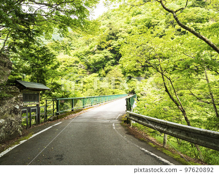 以夢幻吊橋聞名的靜岡縣川根本町墨又峽 97620892