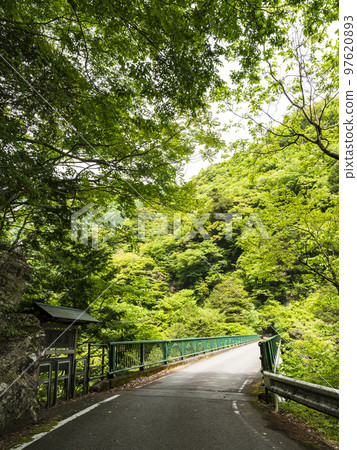 以夢幻吊橋聞名的靜岡縣川根本町墨又峽 97620893