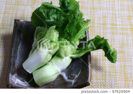 Spring bud (Tshomina) Spring bud (Tshomina) 97620904